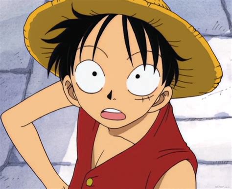 One Piece GIF by Toei Animation